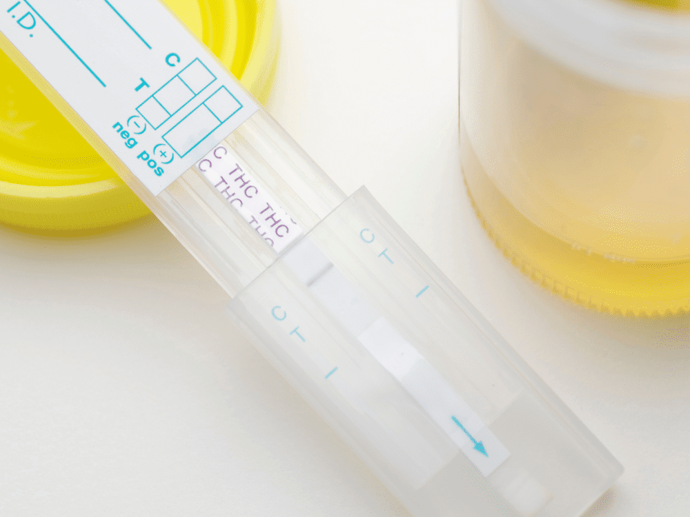 DOT-Drug-Testing.png